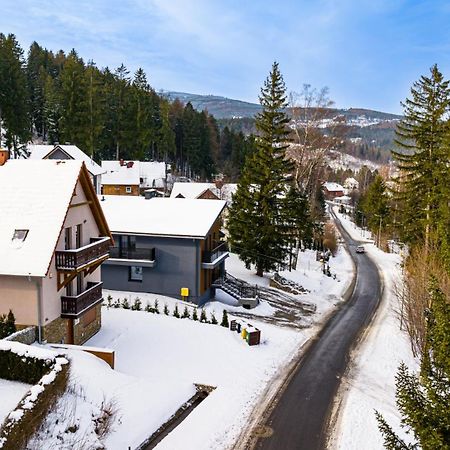 Wonder Home - Villa Vika z ogrodem Karpacz Exterior foto